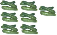 Zucchini-7x3.jpg